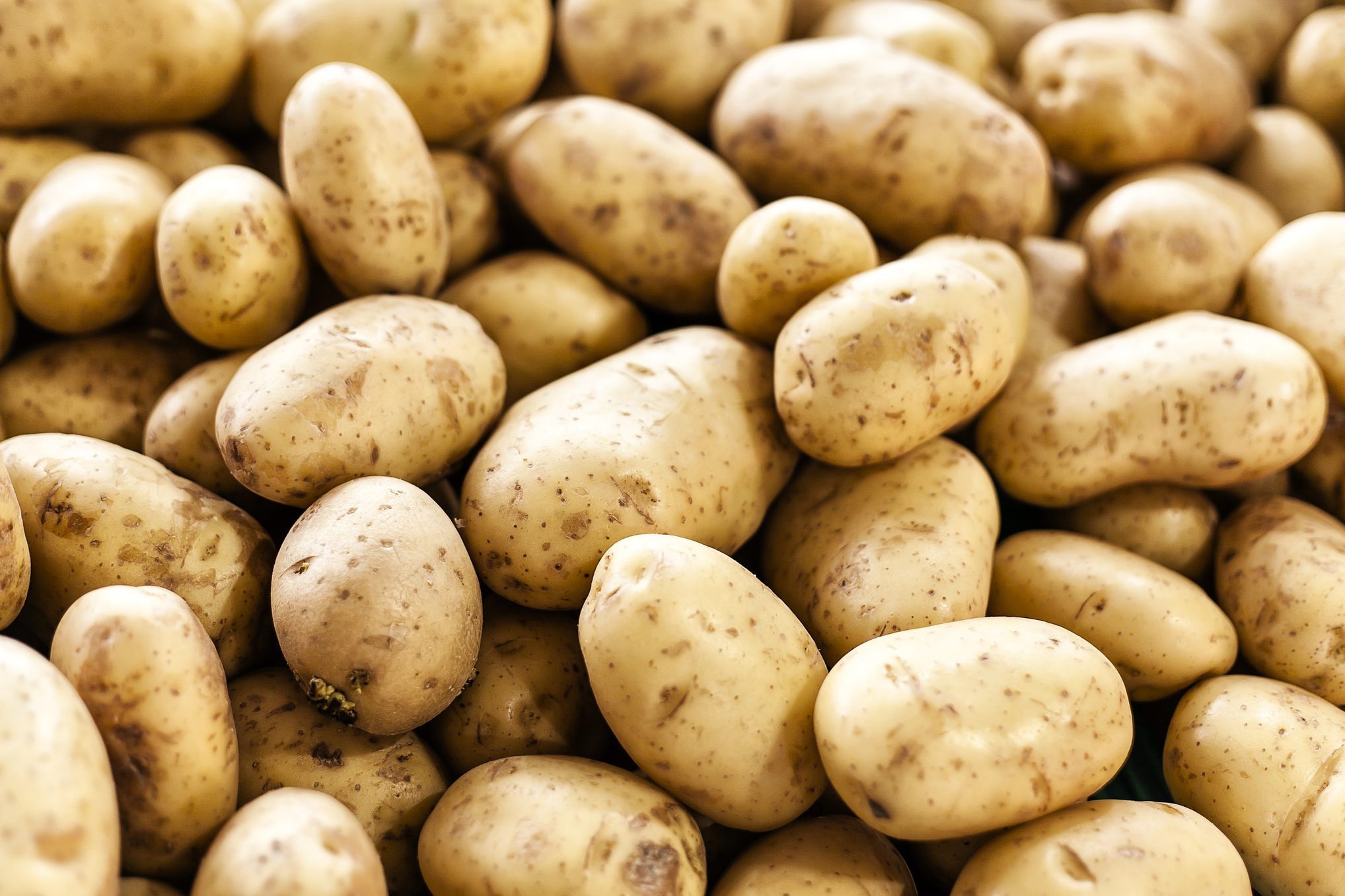 पुराना आलू (Old Potato)